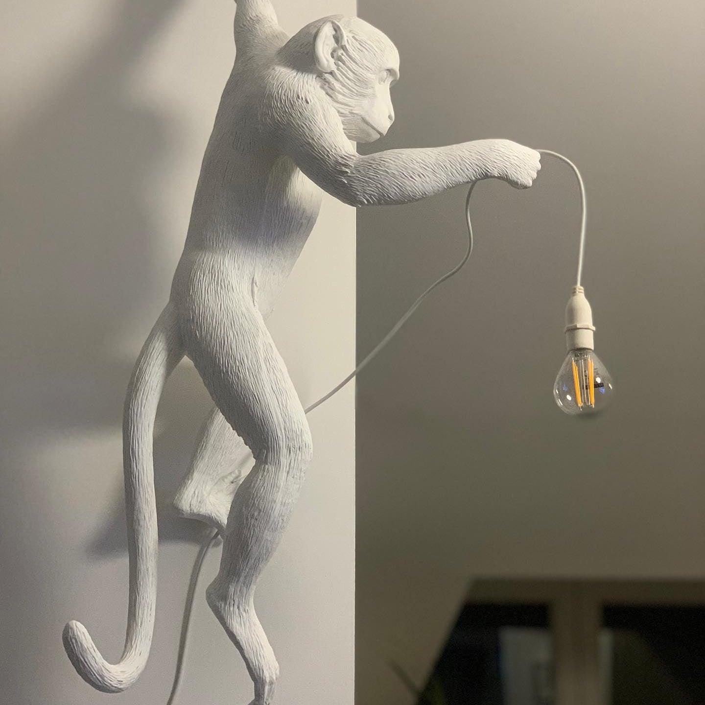 Artistic Monkey Resin Wall Sconce Whimsical Animal Design Interior Light