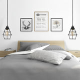 Black Metal Lantern Cage Chandelier Retro Industrial Pendant Light with Push Button Switch and US Plug