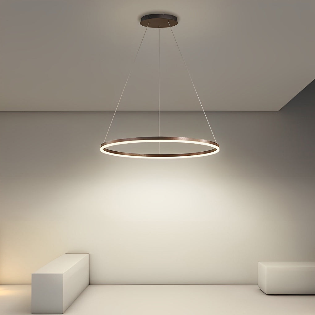 Brown Circular 16 Inch LED Pendant Light Acrylic Shade Modern Hanging Ceiling Fixture