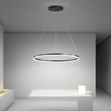 Brown Circular 16 Inch LED Pendant Light Acrylic Shade Modern Hanging Ceiling Fixture