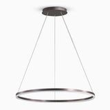 Brown Circular 16 Inch LED Pendant Light Acrylic Shade Modern Hanging Ceiling Fixture