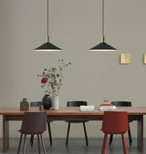 Cairns Hat Shaped Pendant Lamp Vintage Minimalist Metal Ceiling Hanging Light Fixture