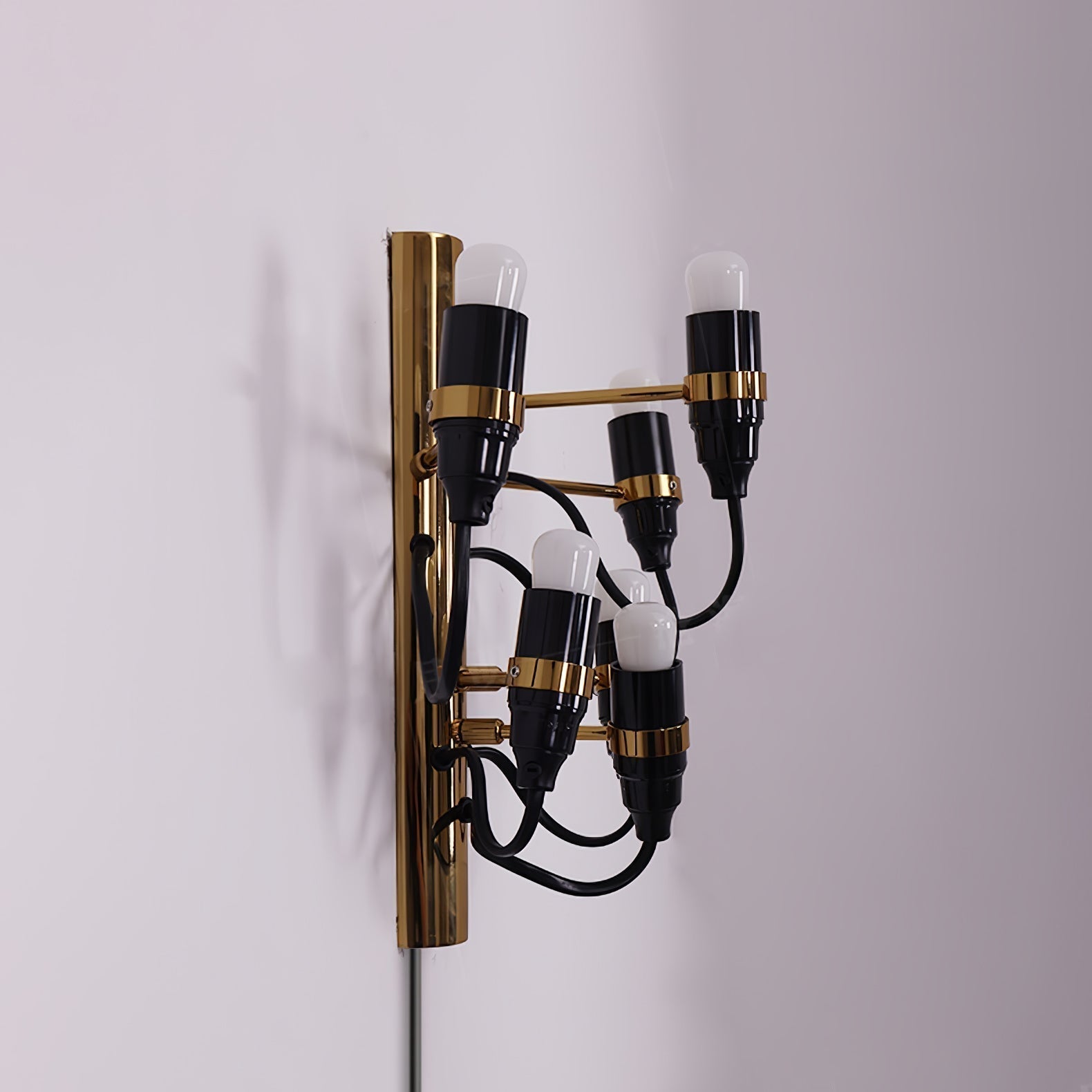 Contemporary Fruit Wall Mounted Plug In Light with Steel Base and Multiple Bulbs