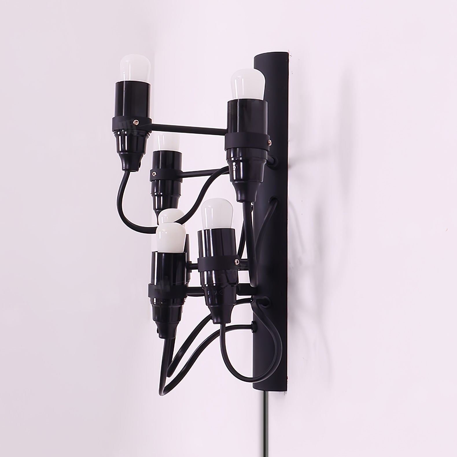 Contemporary Fruit Wall Mounted Plug In Light with Steel Base and Multiple Bulbs