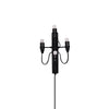 Contemporary Fruit Wall Mounted Plug In Light with Steel Base and Multiple Bulbs