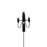 Contemporary Fruit Wall Mounted Plug In Light with Steel Base and Multiple Bulbs