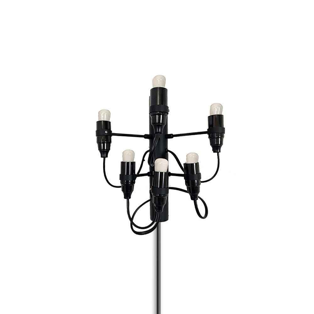 Contemporary Fruit Wall Mounted Plug In Light with Steel Base and Multiple Bulbs