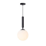 Contemporary Globe Glass Pendant Light with Electroplated Metal Frame and Adjustable Hanging Cord