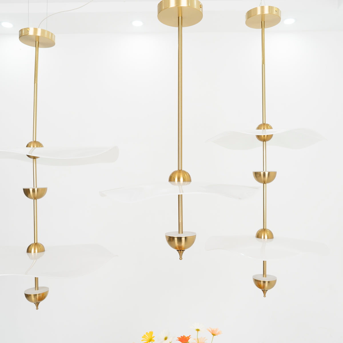 Contemporary Gold Double Biscuit LED Pendant Light for Modern Dining Room Lighting