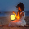 Cordless LED Rechargeable Mini Table Lamp with Handle and Remote Control for Indoor Outdoor Camping
