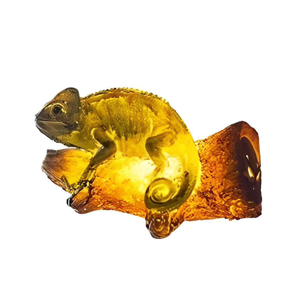 Decorative Resin Animal Parrot LED Garden Light Waterproof Outdoor Pathway Landscape Lamp