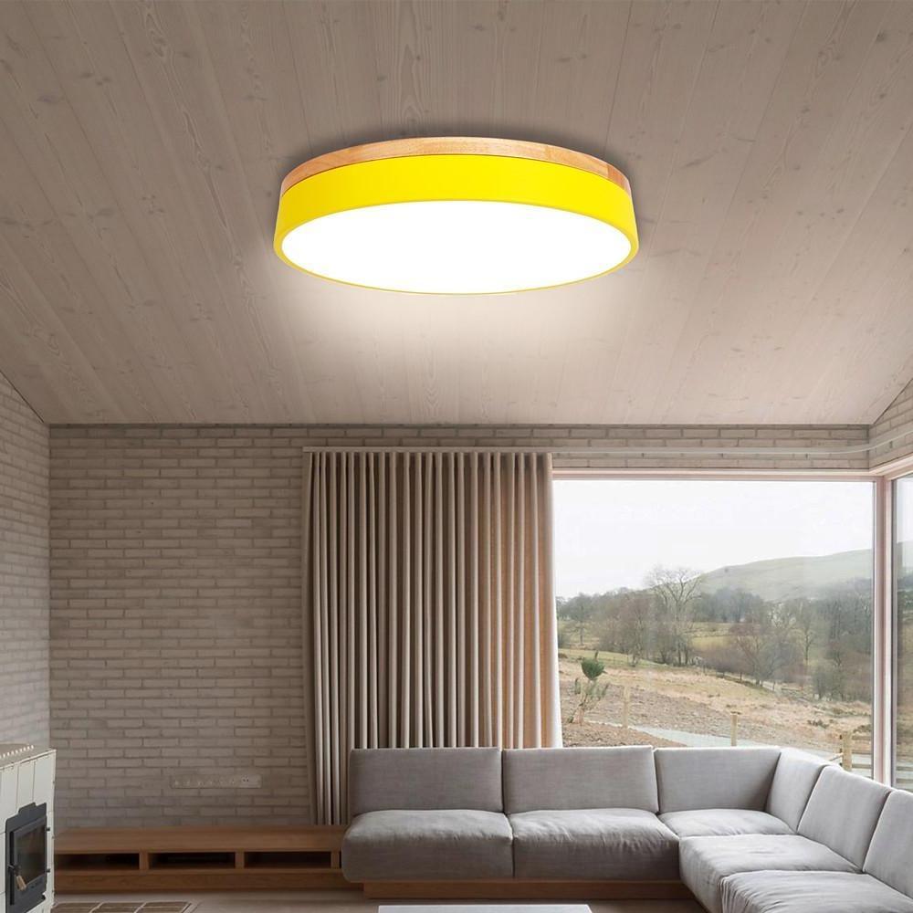 12 Inch Minimalist Round LED Flush Mount Ceiling Lamp for Modern Home Lighting