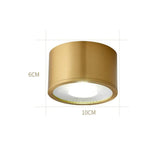 Minimalist Cylindrical LED Flush Mount Ceiling Light Copper Brass Gold Finish Downlight