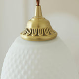 Elegant Mesh Tassel Glass Pendant Light Modern Brass Ceiling Hanging Fixture