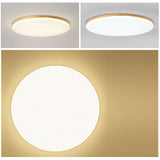 Modern Nordic Geometric LED Flush Mount Ceiling Light Fixture with Dimmable Options