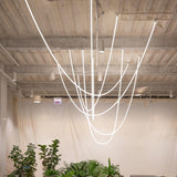 Flexible Silicone LED Curve Linear Pendant Light for Modern Interior Decor