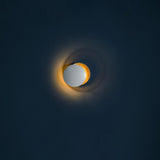 Giorgio Adjustable Disc Wall Lamp Modern LED Indirect Sconce Lighting for Bedroom and Hallway