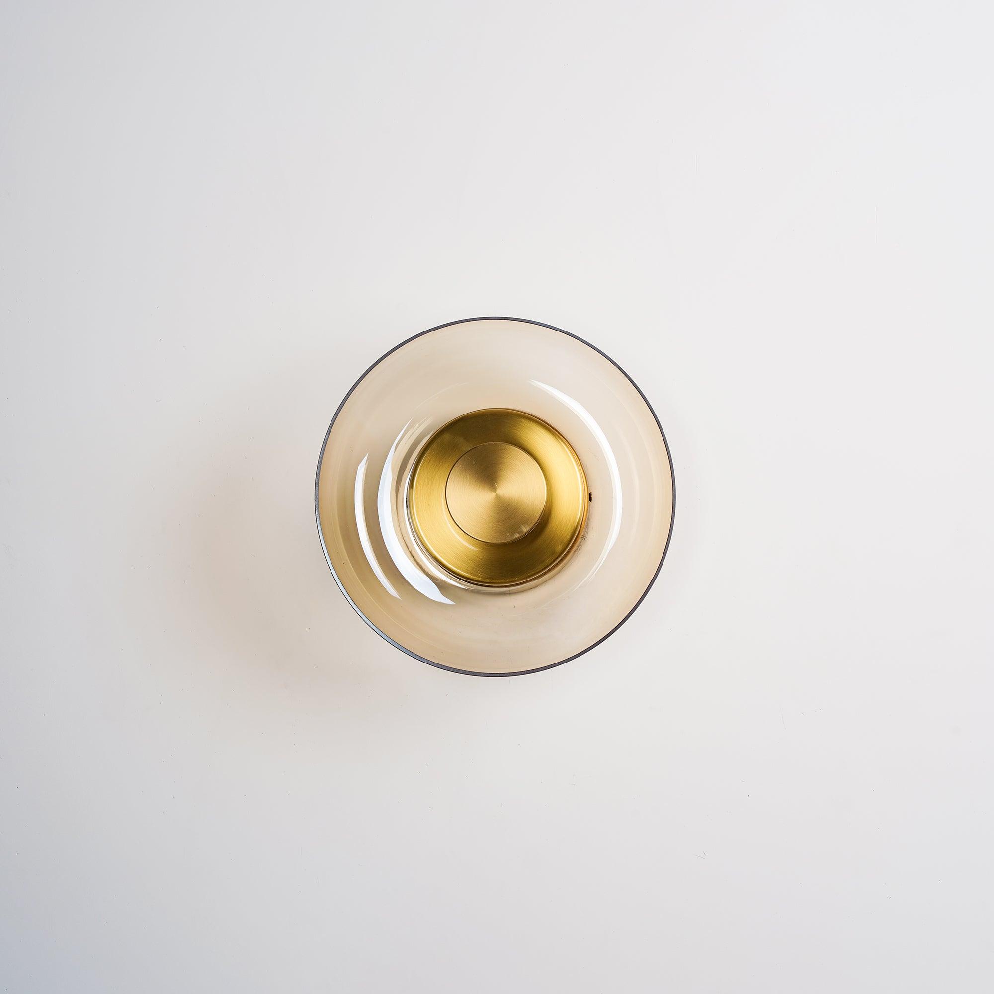 Glimmera Modern Glass and Brass LED Wall Sconce Ambient Indoor Light Fixture