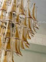 hand-blown-murano-amber-glass-petals-chandelier-for-luxury-living-spaces