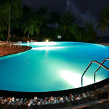 IP68 Waterproof LED Underwater Pool Light AC12V Round Outdoor Spotlight for Fountains and Gardens