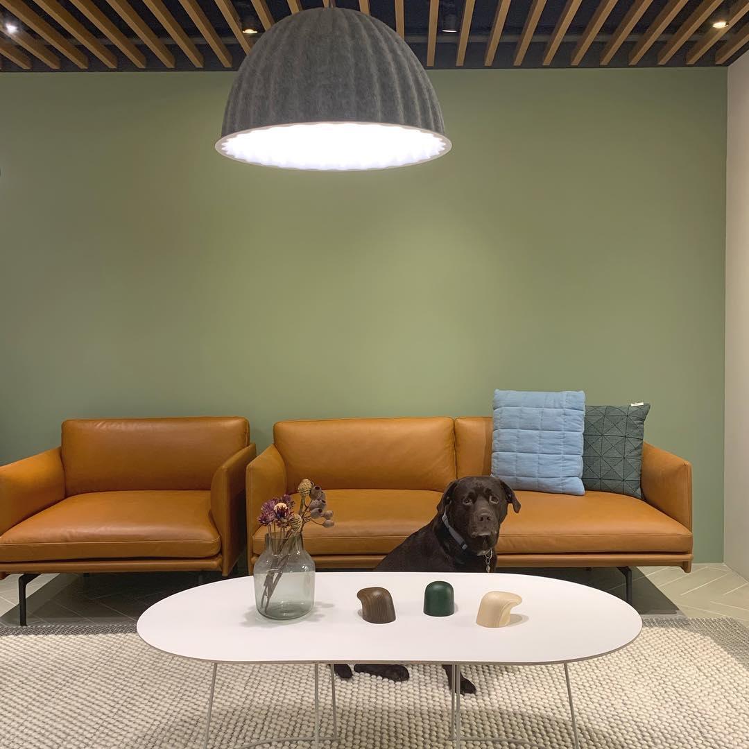 Large Acoustic Felt Dome Pendant Light Recycled Plastic Modern Hanging Ceiling Lamp