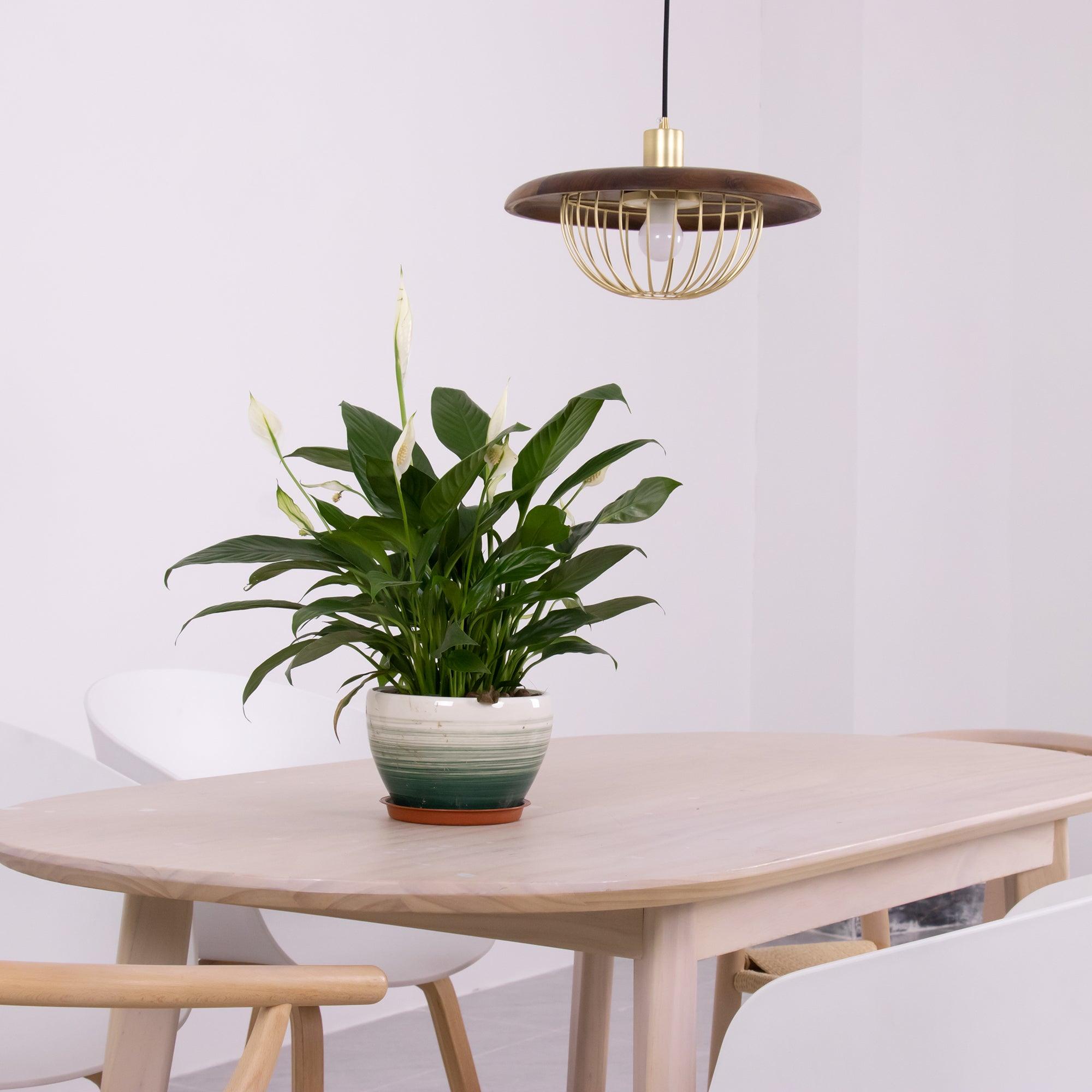 mid-century-modern-wood-pendant-lamp-with-hand-crafted-cnc-engraved-shade-for-dining-room