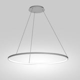 Modern 24 Inch LED Ring Pendant Light with Acrylic Opal Shade for Living Room