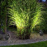 Modern 9W LED Landscape Spotlight IP65 Waterproof DC24V Outdoor Tree Light for Garden Paths