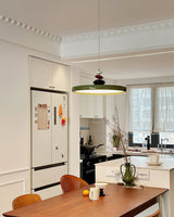 Modern Adjustable Swing Arm Stone Shape LED Pendant Light for Kitchen and Dining Room