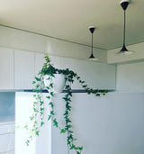 Modern Arch Shaped Metal Semi Pendant Light for Dining Table and Kitchen