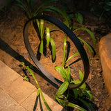 Modern Black Ring LED Landscape Pathway Lighting Waterproof Outdoor Circular Lawn Lamp