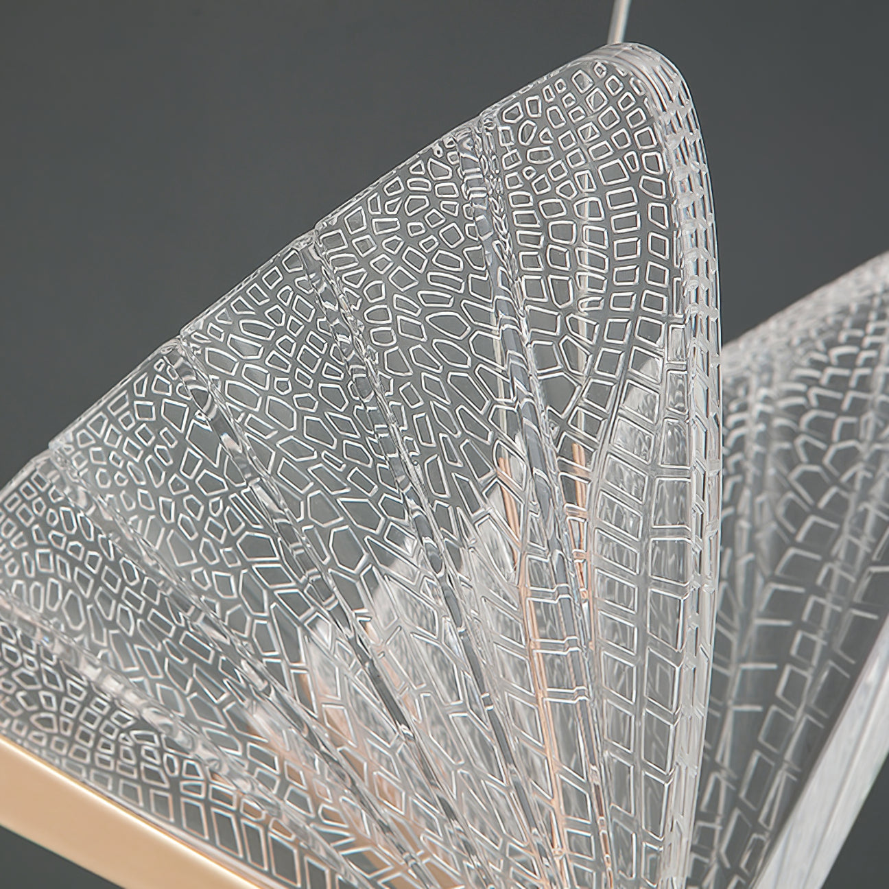 Modern Butterfly LED Pendant Light with Transparent Acrylic Wings and Adjustable Hanging Height
