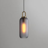 Modern Capsule and Sphere Glass Pendant Swag Light Fixture for Indoor Ceiling Decor
