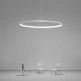 Modern Circle LED Chandelier Dimmable Ring Pendant Light for Dining Room