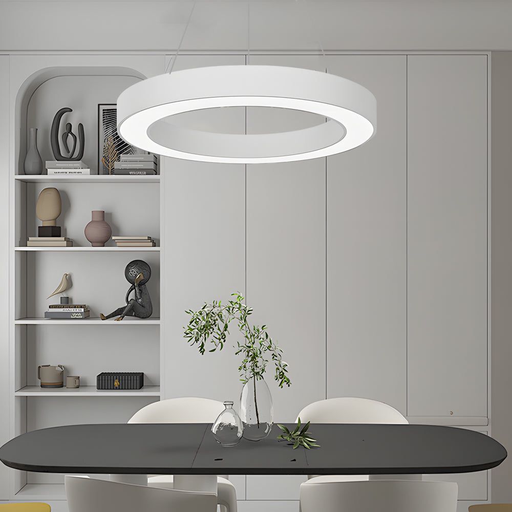 Modern Circular LED Hanging Profile Light Suspended Ring Pendant for Gym Office Spaces