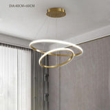 Modern Circular LED Ring Chandelier Acrylic Aluminum Adjustable Pendant Light for Living Room