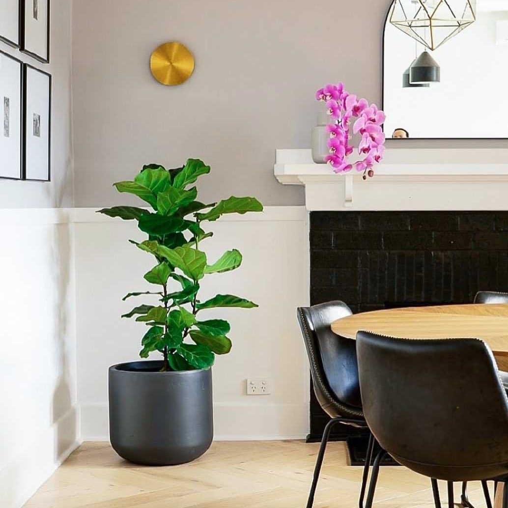 Modern Disk LED Wall Sconce Minimalist Gossa Ring Light for Living Room and Bedroom