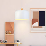 Modern Dome Aluminum LED Pendant Light for Dining Room and Office Adjustable Hanging Lamp