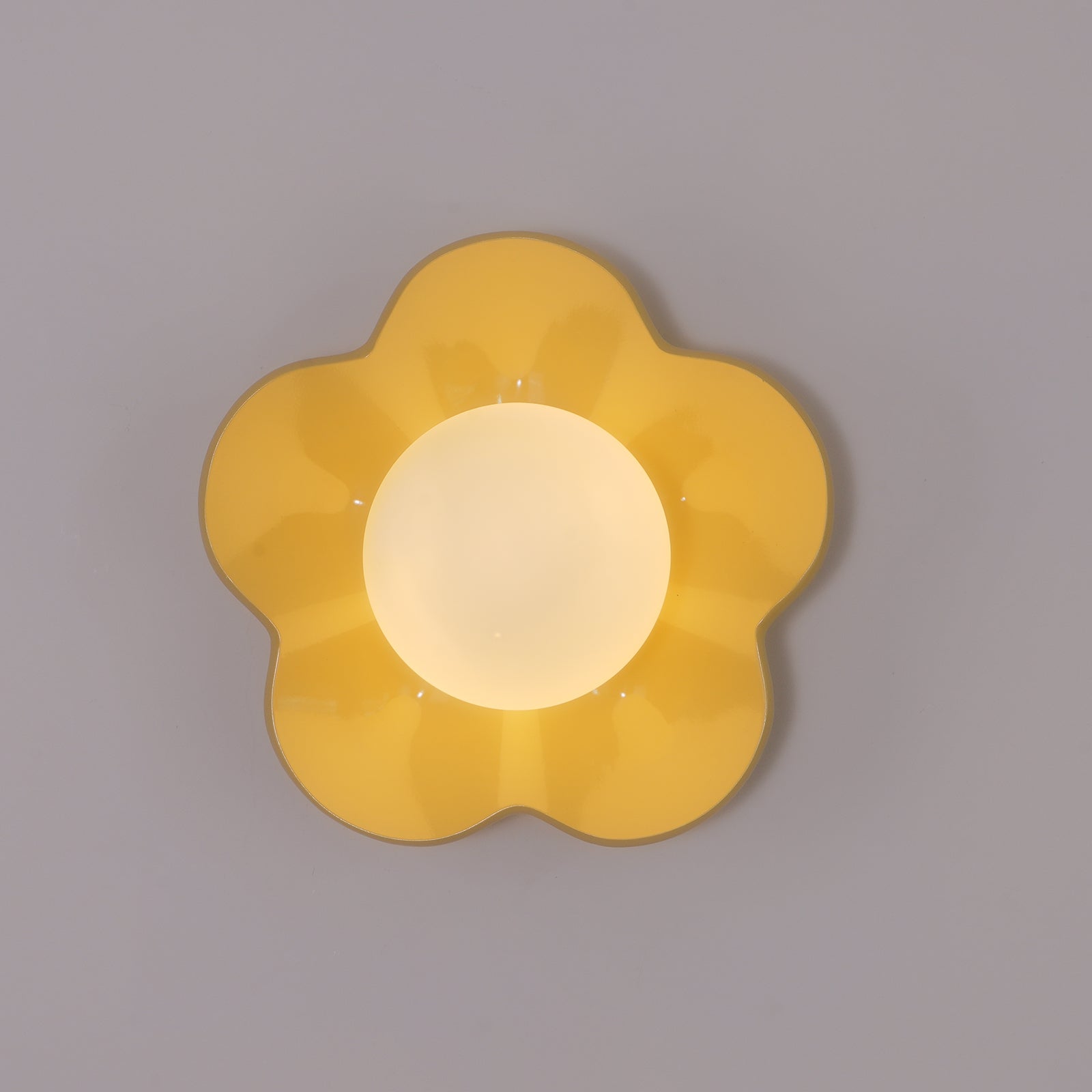 Modern Floral Resin Wall Sconce and Glass Ceiling Lamp for Indoor Lighting