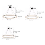 Modern Frosted Water Glass LED Ring Chandelier Minimalist Black Iron Pendant Light