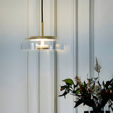 Modern Glass Biossi Pendant Light Nordic LED Hanging Lamp for Living Room