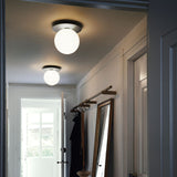 Modern Glass Globe Wall Sconce and Ceiling Lamp with Brass Metal Disc for Elegant Interior Decor