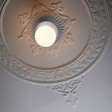 Modern Glass Globe Wall Sconce and Ceiling Lamp with Brass Metal Disc for Elegant Interior Decor