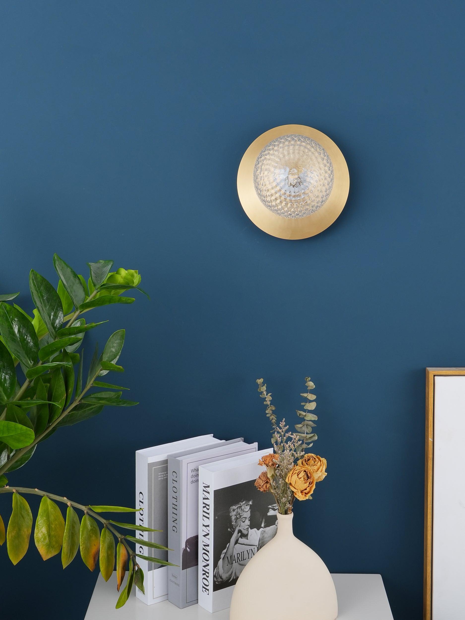 Modern Glass Globe Wall Sconce and Ceiling Lamp with Brass Metal Disc for Elegant Interior Decor