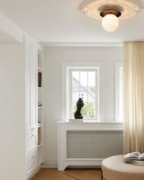 Modern Glass Globe Wall Sconce and Ceiling Lamp with Brass Metal Disc for Elegant Interior Decor