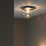 Modern Glass Globe Wall Sconce and Ceiling Lamp with Brass Metal Disc for Elegant Interior Decor