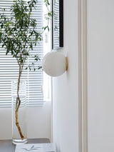 Modern Glass Sphere Wall Sconce Minimalist Globe Wall Light for Bedroom and Hallway