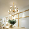 Modern Gold Sputnik Cluster Chandelier 12 Light Globe Glass Bubble Pendant Fixture