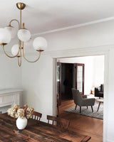 Modern Gooseneck Glass Globe Chandelier Mid Century Industrial Ceiling Light Fixture