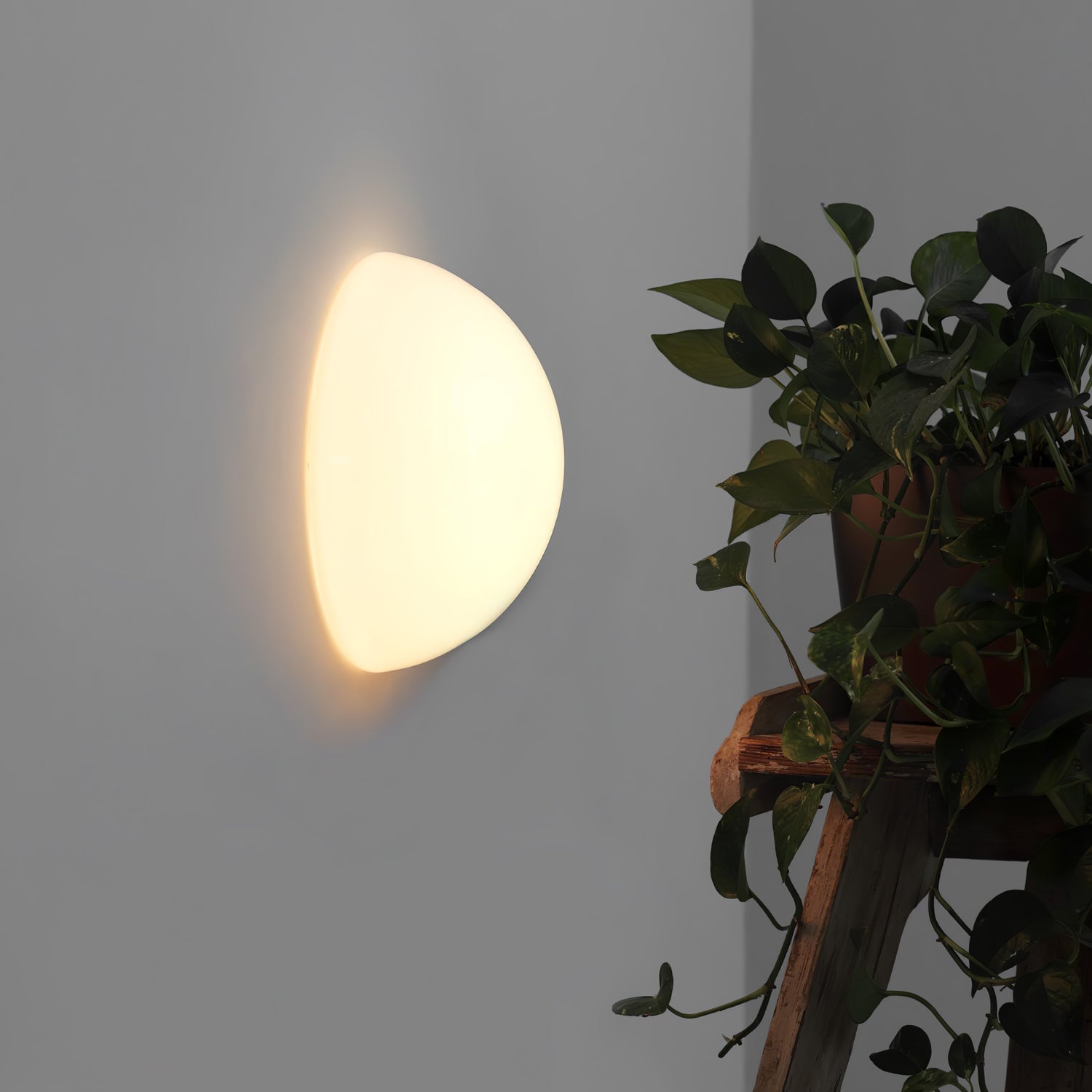 Modern Halbkugel Glass Half Sphere Wall Sconce and Ceiling Lamp in Chrome Finish